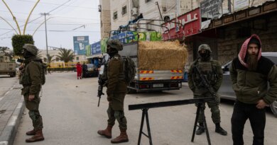 Palestinian baby dies in West Bank after Israel blocks urgent medical care