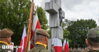 A ceremony in Warsaw to commemorate the victims of what Poland calls the "massacre" in Volyn during World War Two. Photo: 11 July 2026