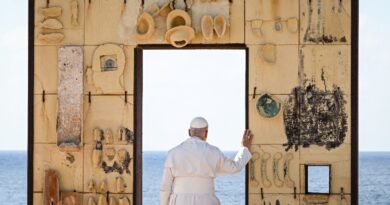 Pope urges Europe to protect migrants in visit to island frontier