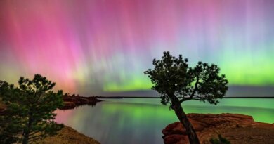 Scientists Propose ‘StormWall’ To Stop A $2.4 Trillion Solar Storm