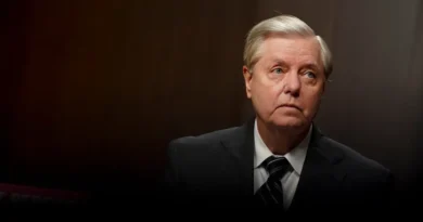 Senate powerhouse Lindsey Graham has died. Here's how he remade corporate taxes, tariffs, and defense.