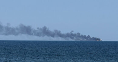 Shipowners halt vessel calls for farm exports at Ukraine's Black Sea ports, minister says