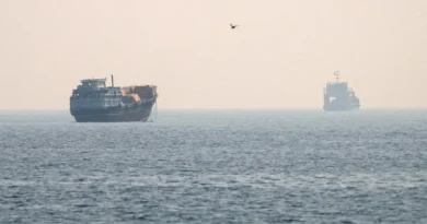 Strait of Hormuz traffic plunges as US, Iran resume fighting
