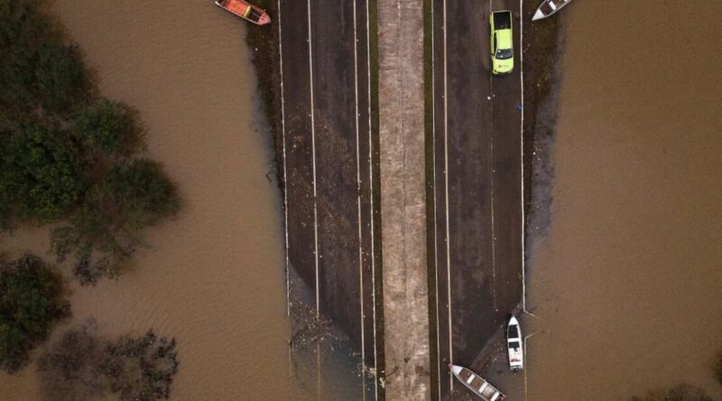 Strengthening El Nino likely to 'rank among largest' on record: US agency