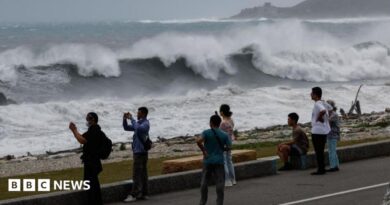Residents observe huge waves brought by Typhoon Bavi in Hualien city, Taiwan