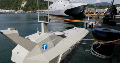 Taiwan needs to become a ‘hornet’s nest’ of drones, US diplomat says