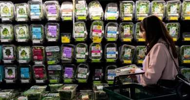 Taylor Farms pulls iceberg lettuce, says it's 'deeply concerned' after cyclospora outbreak