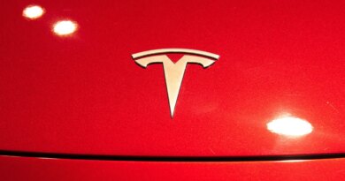 A Tesla logo seen on a Tesla Model 3 car.