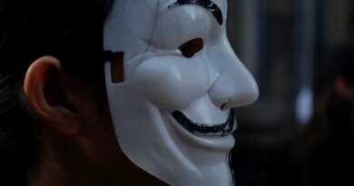A member of the international organisation Anonymous for the Voiceless wears a Guy Fawkes mask while demonstrating in the streets of Mexico City's Historic Center.