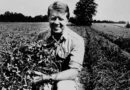 The jobs US presidents had before taking office, from teachers to peanut farmers