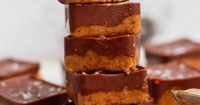 Thin Mint Protein Bites (No-Bake!)