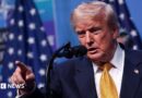 US President Donald Trump wearing a yellow tie, white shirt, blue suit and American flag pin. He stands at a microphone and is pointing, his mouth open. 