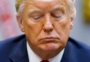 Trump’s 927-page disclosure is just a normal Tuesday for direct indexing and crypto wealth managers | Fortune