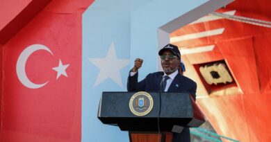 Turkish jets strike al-Shabab targets in Somalia: What to know