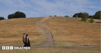 A man and a woman walk along a brown, parched Primrose Hill following an extremely dry spell of weather and numerous heatwaves