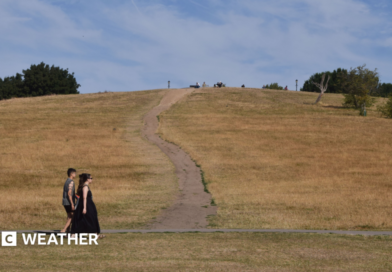 A man and a woman walk along a brown, parched Primrose Hill following an extremely dry spell of weather and numerous heatwaves