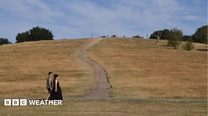 A man and a woman walk along a brown, parched Primrose Hill following an extremely dry spell of weather and numerous heatwaves