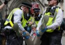 UK's highest court to hear Palestine Action's appeal against ban