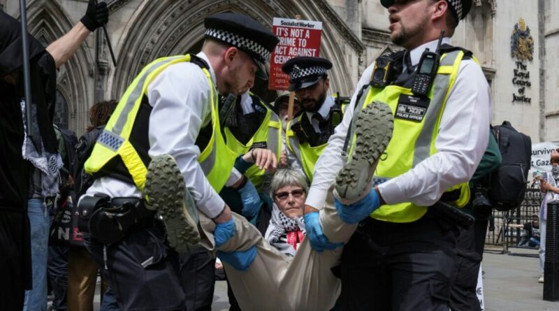 UK's highest court to hear Palestine Action's appeal against ban