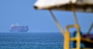 UN maritime head urges halt to Hormuz transit to protect seafarers