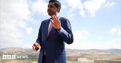 Khanna, who is dressed in a blue suit, white shirt and pink tie, raises his hand as he is photographed outdoors with a rural town landscape behind him