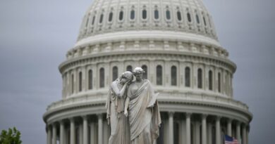 US House passes symbolic Iran war rebuke to Trump