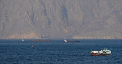 US issues fresh Iran-related sanctions, website shows