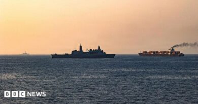 US launches 'heavy' strikes on Iran after attempted attack on American troops AH-64 Apache helicopters patrol the Strait of Hormuz