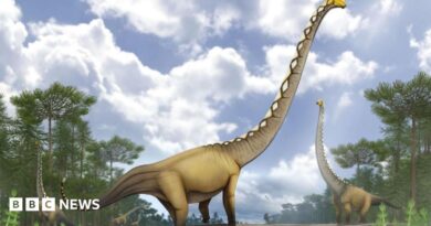 An artist impression of a new dinosaur discovered in Thailand.