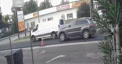 Videos Shed Light on Pursuit Before ICE Killing in Houston

