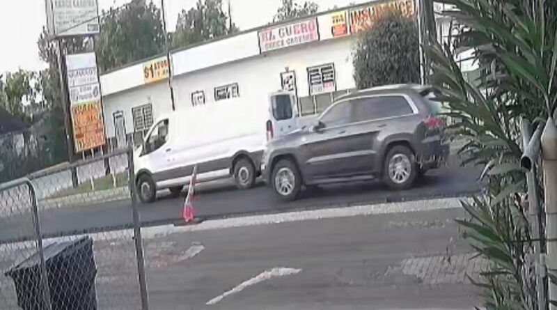 Videos Shed Light on Pursuit Before ICE Killing in Houston