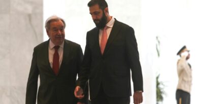 Visiting UN chief urges respect for Syria's sovereignty, international support
