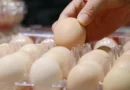 We were (allegedly) gaslit by Big Egg about egg prices