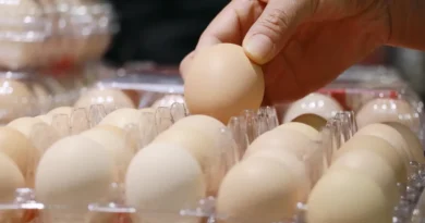 We were (allegedly) gaslit by Big Egg about egg prices