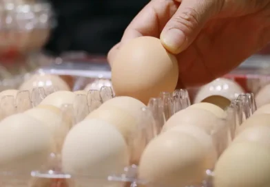We were (allegedly) gaslit by Big Egg about egg prices