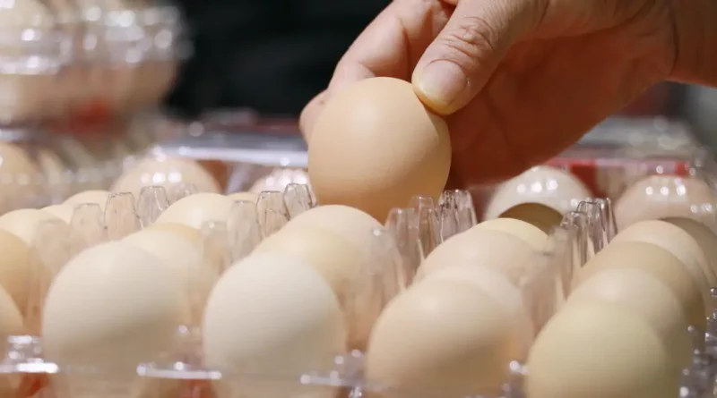 We were (allegedly) gaslit by Big Egg about egg prices