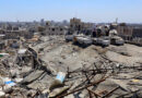 With fields destroyed and hives lost, Gaza's beekeepers struggle to start over