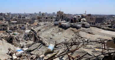 With fields destroyed and hives lost, Gaza's beekeepers struggle to start over