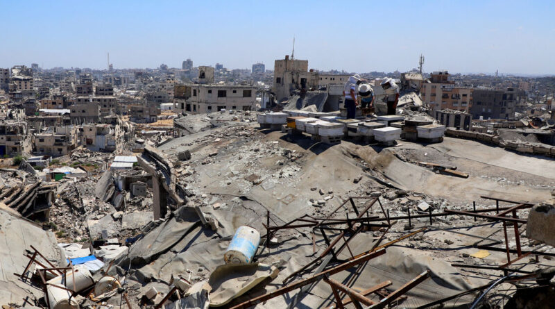 With fields destroyed and hives lost, Gaza's beekeepers struggle to start over