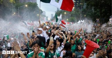 Mexico fans celebrate exuberantly