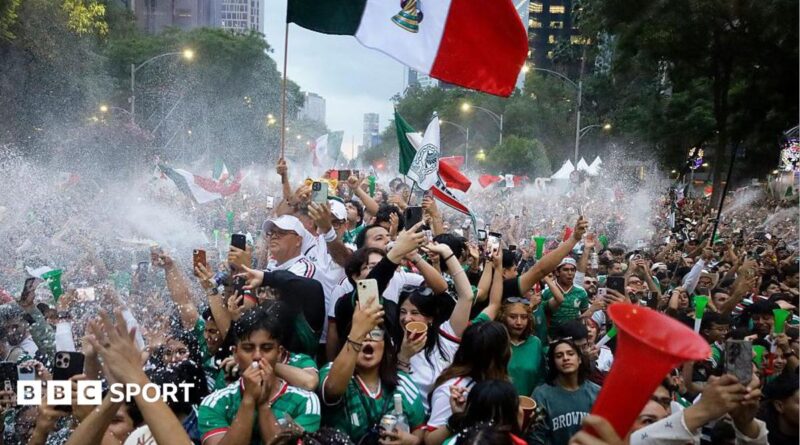 Mexico fans celebrate exuberantly