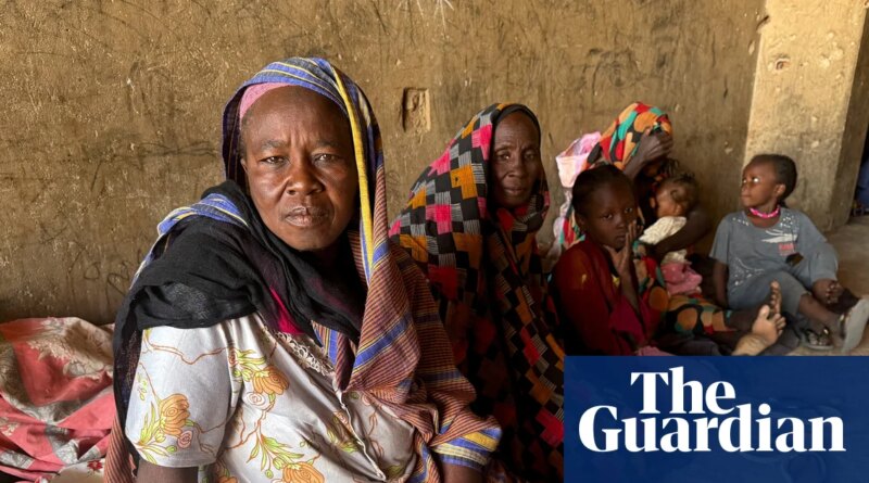 ‘The situation is terrible’: aid workers on life in Sudanese city pummelled by drone strikes