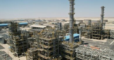 'No substitute': Kuwait's future tied to Hormuz strait fate