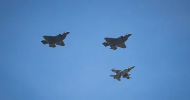 A Canadian premier has 2 ideas for hurting Trump: US fighter jets and coal