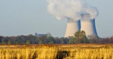 The Enrico Fermi Nuclear Power Plant, Point Mouillee, Rockwood, Michigan