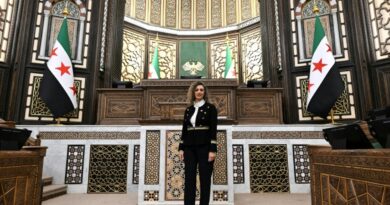 Actress, engineer, jihadist's widow among Syria's new women MPs