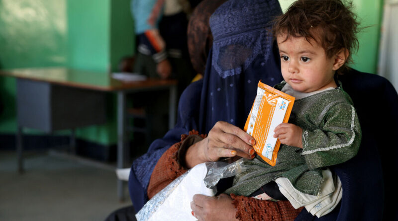 Afghan child malnutrition surges as aid cuts force clinics to turn families away, WFP says