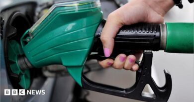 A close-up of a woman's hand, with pink nail varnish, holding a green petrol pump.