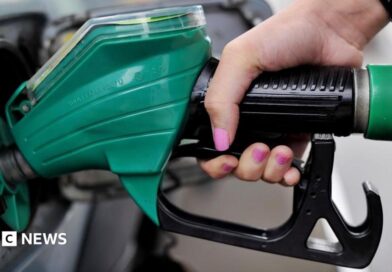 A close-up of a woman's hand, with pink nail varnish, holding a green petrol pump.