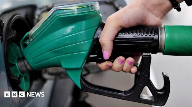 A close-up of a woman's hand, with pink nail varnish, holding a green petrol pump.